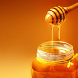 Raw Forest Organic Honey 1/2KG